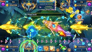 55www